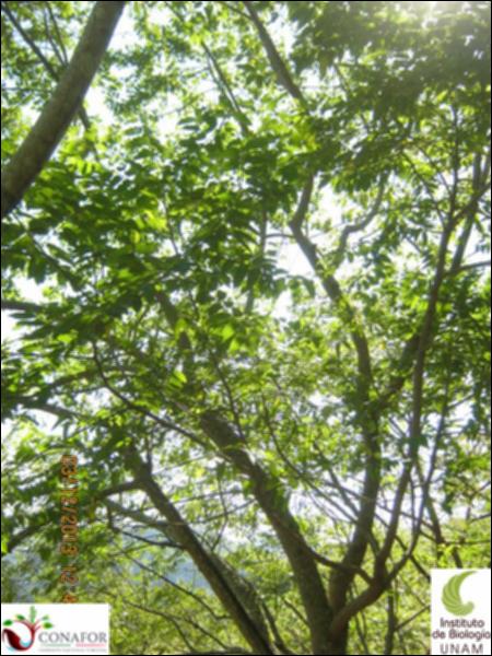 54642_S4_ARC_20131203_008_002.jpg.jpg