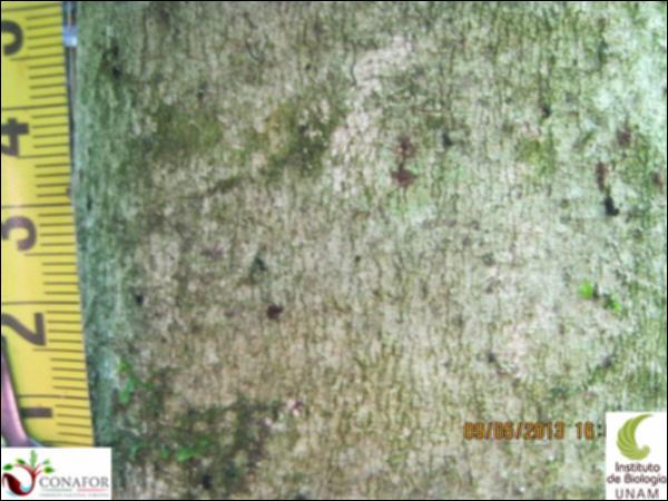 70083_S2_CRT_20130509_001_001.jpg.jpg