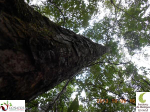 53082_S4_ARC_20131009_046_001.jpg.jpg