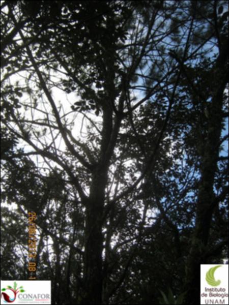 73553_S1_ARC_20130625_005_002.jpg.jpg