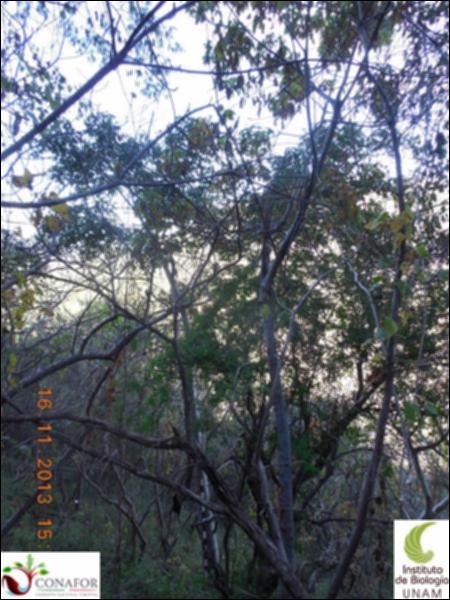 68062_S3_ARC_20131116_023_001.jpg.jpg
