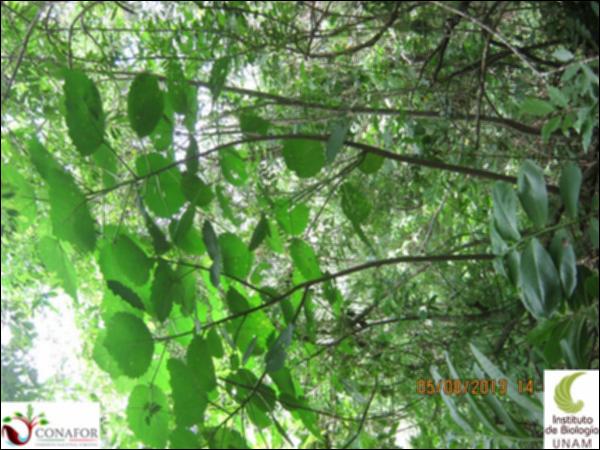 54027_S1_ARC_20130805_004.jpg.jpg