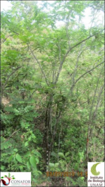 75531_S3_ARC_20130703_014_001.jpg.jpg