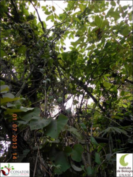77441_S4_ARC_20130701_006_002.jpg.jpg