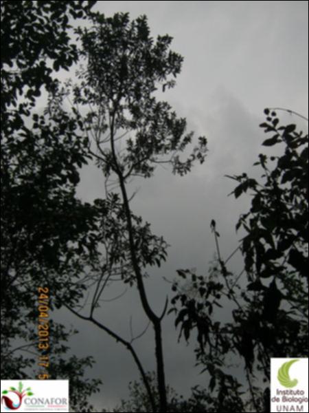 71425_S3_ARC_20130424_009_002.jpg.jpg