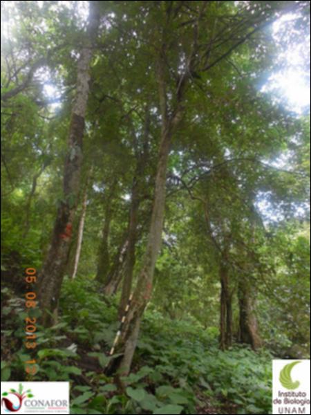 76829_S1_ARC_20130805_003_001.jpg.jpg