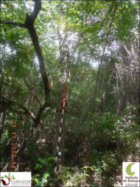 68540_S2_ARC_20131101_016_001.jpg.jpg