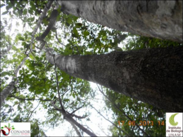 51199_S1_ARC_20130614_008_001.jpg.jpg