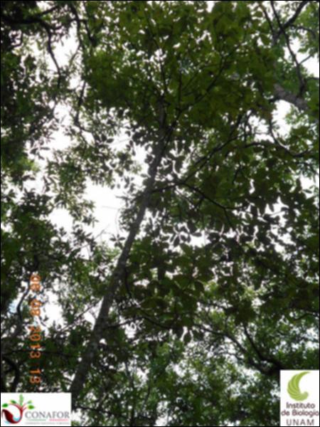 74323_S1_ARC_20130806_005_002.jpg.jpg