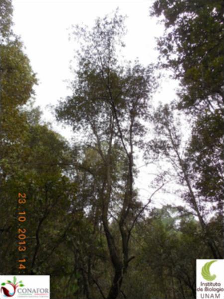 58823_S4_ARC_20131023_014_002.jpg.jpg