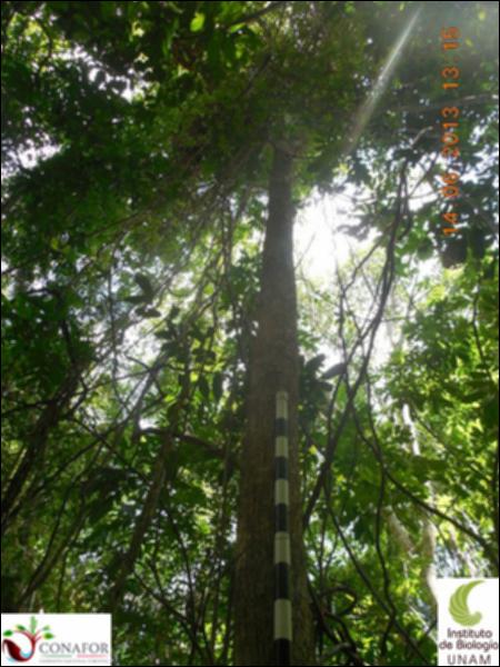 71872_S1_ARC_20130614_028_002.jpg.jpg