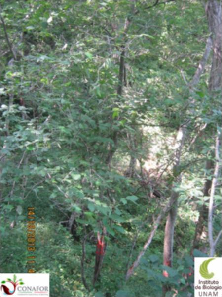 48703_S1_ARC_20131014_005.jpg.jpg