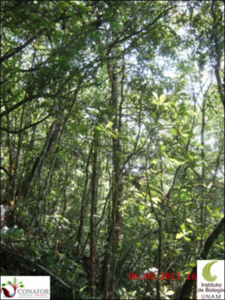 49507_S1_ARC_20130605_024.jpg.jpg