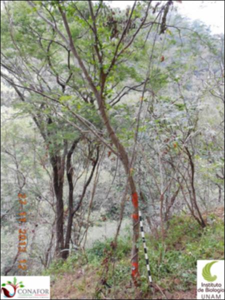 71997_S1_ARC_20131127_008_001.jpg.jpg
