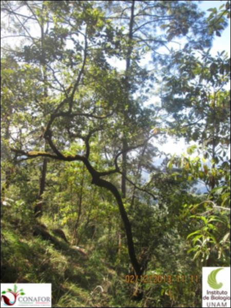 53571_S1_ARC_20131202_008.jpg.jpg