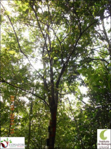 58111_S4_ARC_20131003_016_002.jpg.jpg