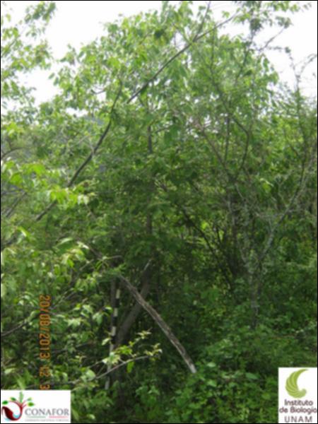 57464_S1_ARC_20130820_002.jpg.jpg