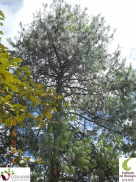 72072_S1_ARC_20130603_017_002.jpg.jpg