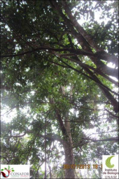 74733_S4_ARC_20130730_018_002.jpg.jpg