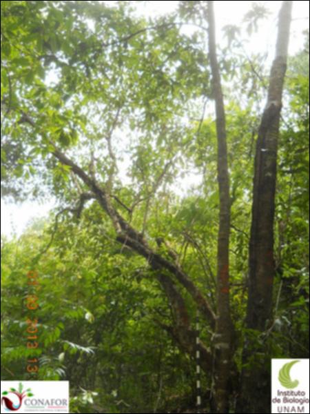 71330_S1_ARC_20130831_005_001.jpg.jpg