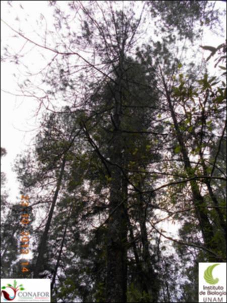 63094_S1_ARC_20131023_009_002.jpg.jpg