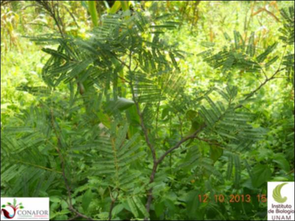 65199_S1_HJ1_20131012_007_001.jpg.jpg