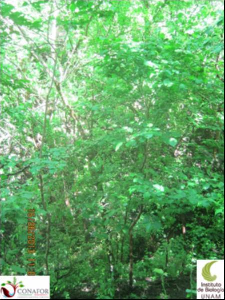 74793_S4_ARC_20130615_028_001.jpg.jpg