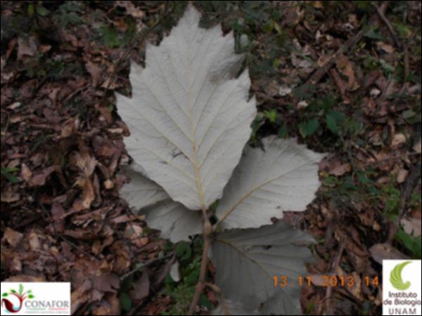 73326_S1_HJ2_20131113_039_001.jpg.jpg