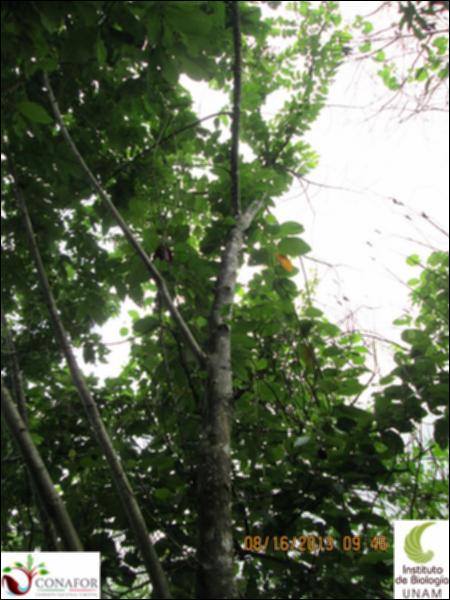 49589_S3_ARC_20130816_009_001.jpg.jpg