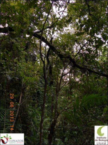 77365_S1_ARC_20130629_010_002.jpg.jpg