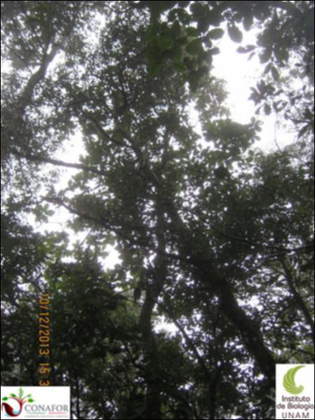 56094_S1_ARC_20131210_051_002.jpg.jpg