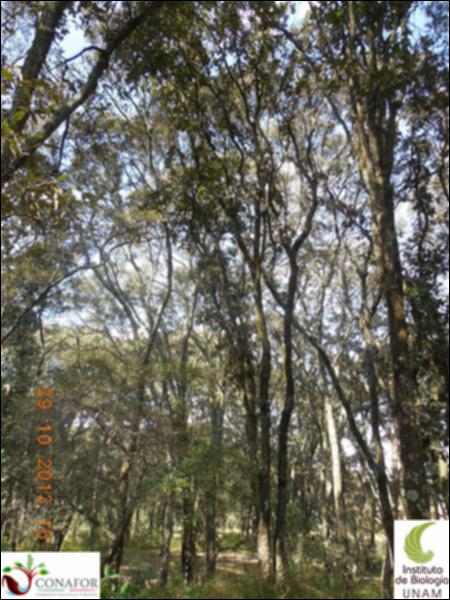 57312_S1_ARC_20131029_004_001.jpg.jpg