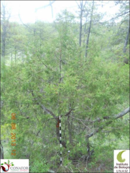 73523_S4_ARC_20130806_001_001.jpg.jpg