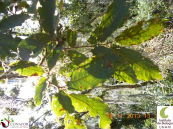 39174_S1_HJ1_20131109_025.jpg.jpg