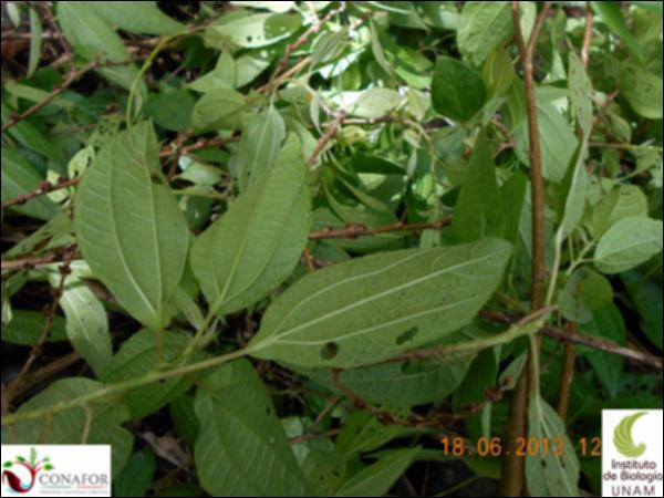 77277_S1_HJ2_20130618_007_001.jpg.jpg