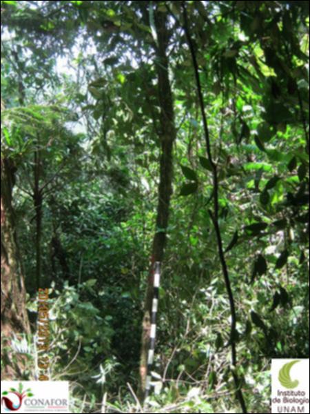 74388_S2_ARC_20130519_002_001.jpg.jpg