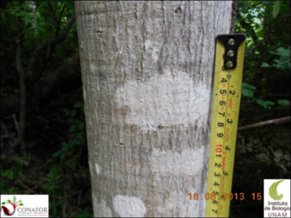 77350_S4_CRT_20130816_012_001.jpg.jpg