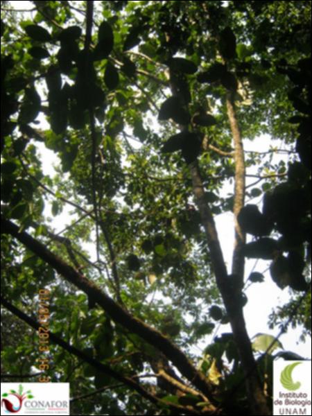 67607_S1_ARC_20130501_017_002.jpg.jpg