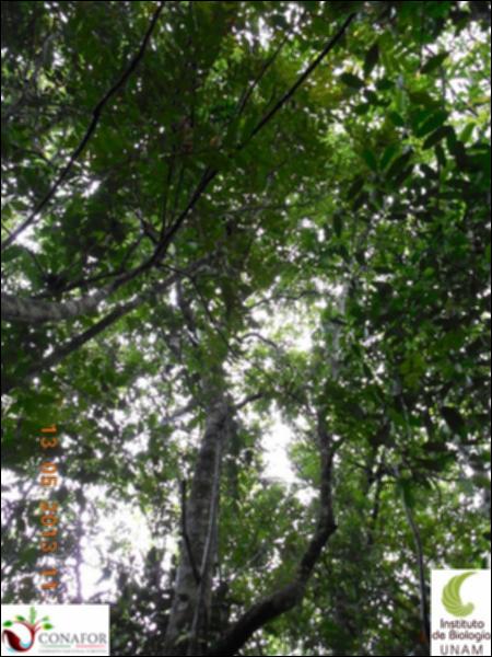 73768_S2_ARC_20130512_043_002.jpg.jpg