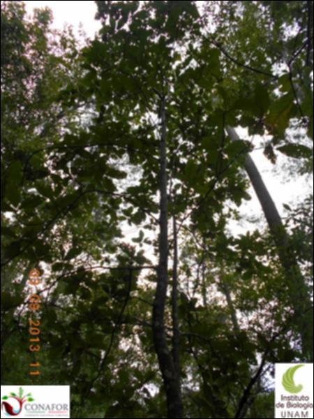71541_S3_ARC_20130903_025_002.jpg.jpg