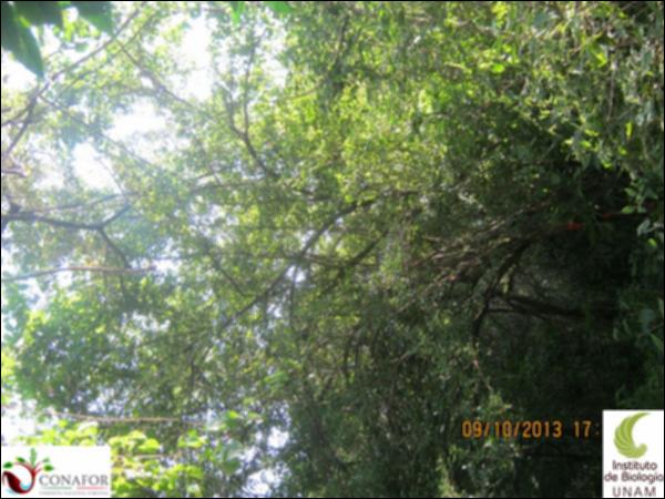 49397_S1_ARC_20131009_009.jpg.jpg