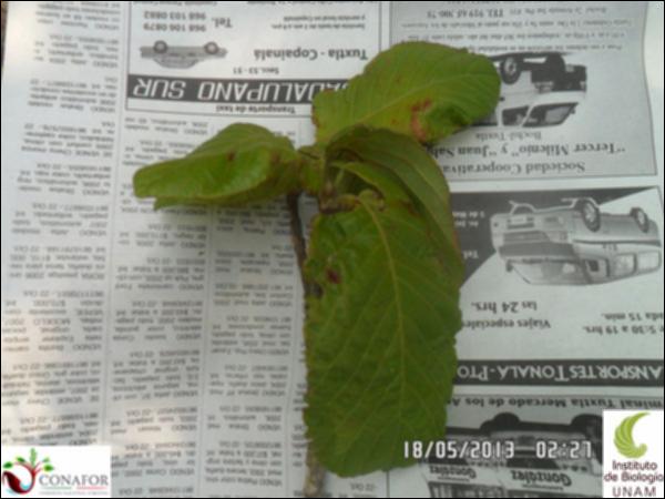 75032_S4_HJ1_20130518_007_001.jpg.jpg