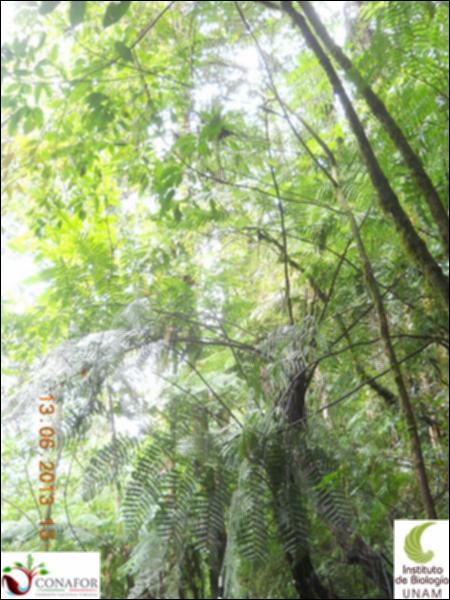 70761_S1_ARC_20130612_010_002.jpg.jpg