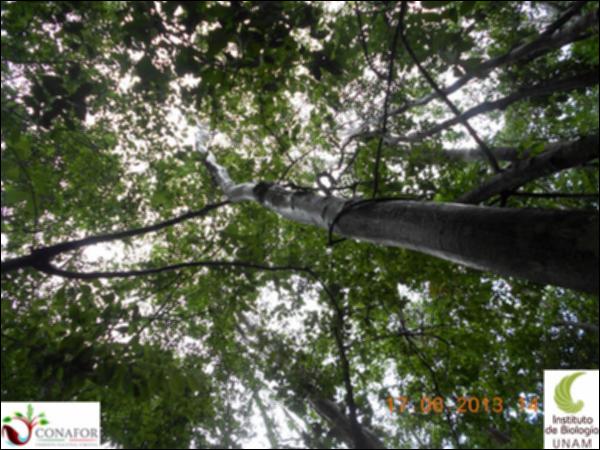 51199_S1_ARC_20130614_040_001.jpg.jpg