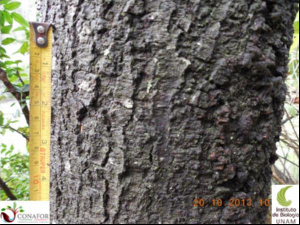 59832_S4_CRT_20131020_016_001.jpg.jpg