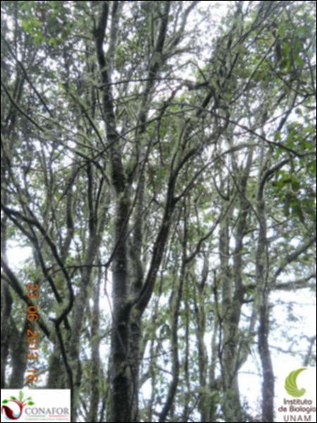 76969_S1_ARC_20130623_009_002.jpg.jpg