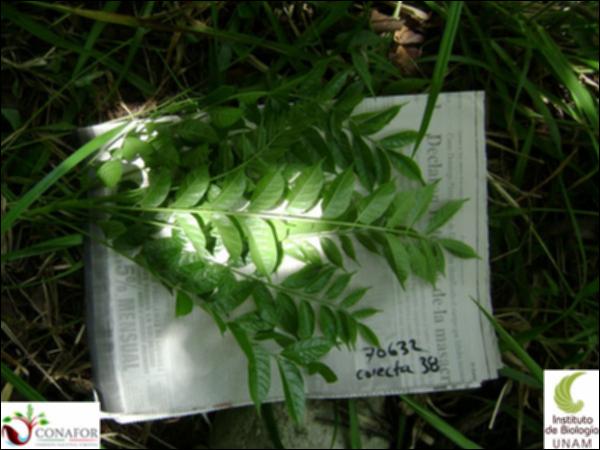 70632_S1_HJ2_20130515_012_001.jpg.jpg