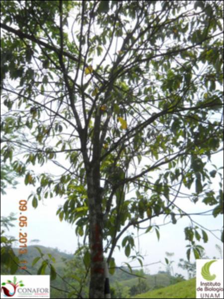 72316_S1_ARC_20130509_012_002.jpg.jpg
