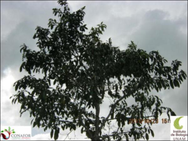 52361_S4_ARC_20131023_001_002.jpg.jpg
