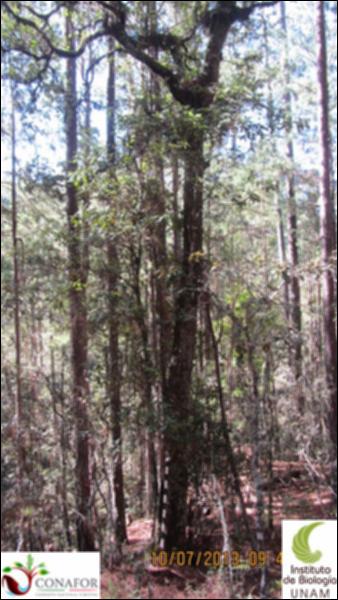 74952_S1_ARC_20130709_010_001.jpg.jpg